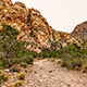 Red Rock Canyon Trail Landscape