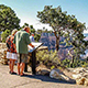 Beautiful views at the Grand Canyon South Rim