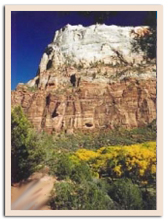 Zion National Park