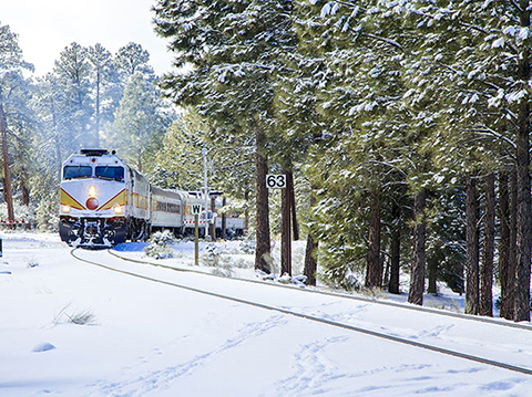 Traveling through the forest from Williams, Arizona to the Grand Canyon South Rim