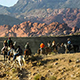 Horseriding in the Nevada outback