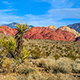Red Rock Canyon Trail Landscape